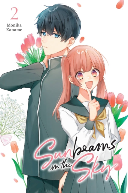Book cover of: Sunbeams in the Sky, Vol. 2. By: Monika Kaname