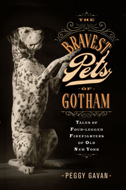 Book cover of: Bravest Pets of Gotham