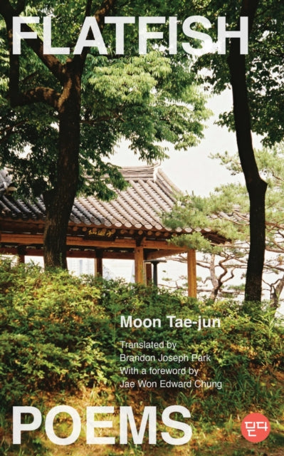 Book cover of: Flatfish. By: Tae-Jun Moon