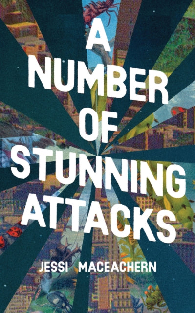 Book cover of: Number of Stunning Attacks. By: Jessi MacEachern
