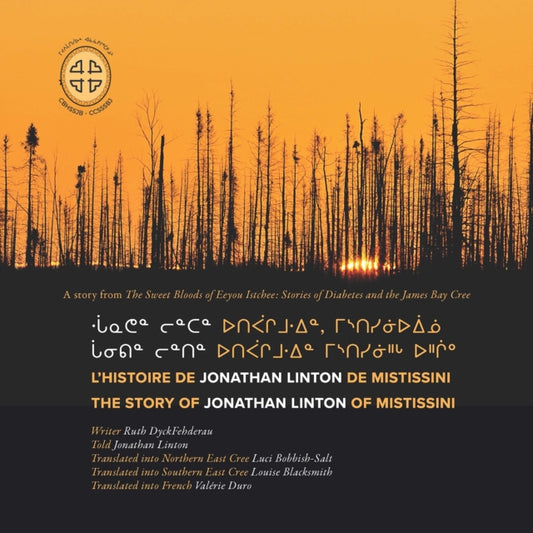 Book cover of: L'histoire De Jonathan Linton De Mistissini