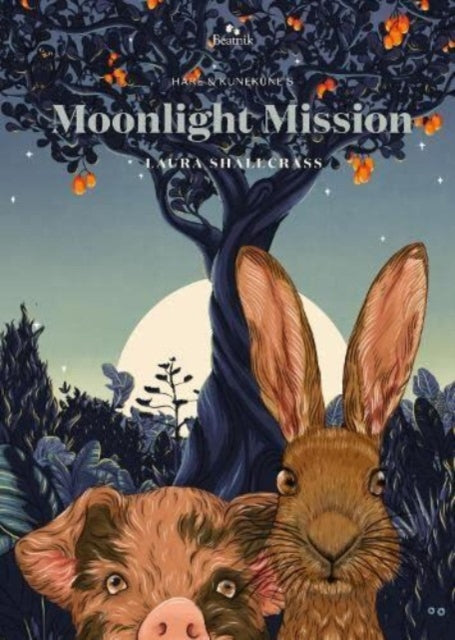 Book cover of: Moonlight Mission