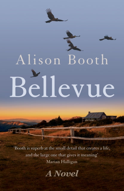 Book cover of: Bellevue