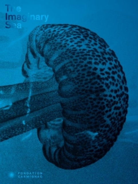 Book cover of: Imaginary Sea