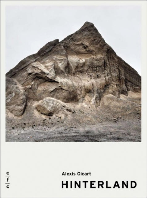 Book cover of: Alexis Gicart. By: Noémie Nicolas