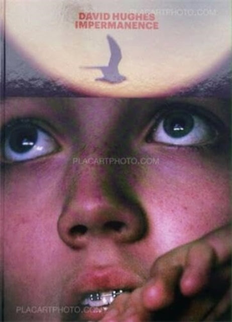 Book cover of: Impermanence