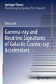 Book cover of: Gamma-ray and Neutrino Signatures of Galactic Cosmic-ray Accelerators. By: Silvia Celli