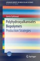 Book cover of: Polyhydroxyalkanoates Biopolymers. By: Geeta Gahlawat