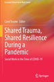 Book cover of: Shared Trauma, Shared Resilience During a Pandemic. By: Carol Tosone