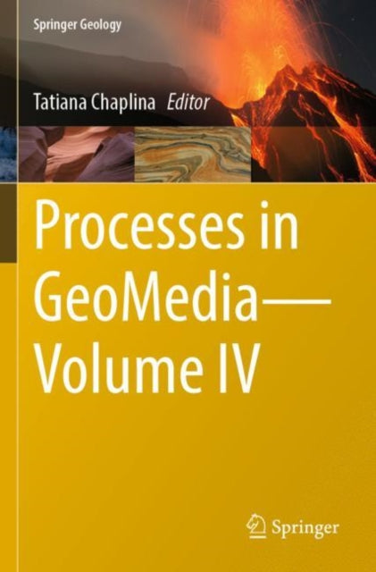 Book cover of: Processes in GeoMedia—Volume IV. By: Tatiana Chaplina