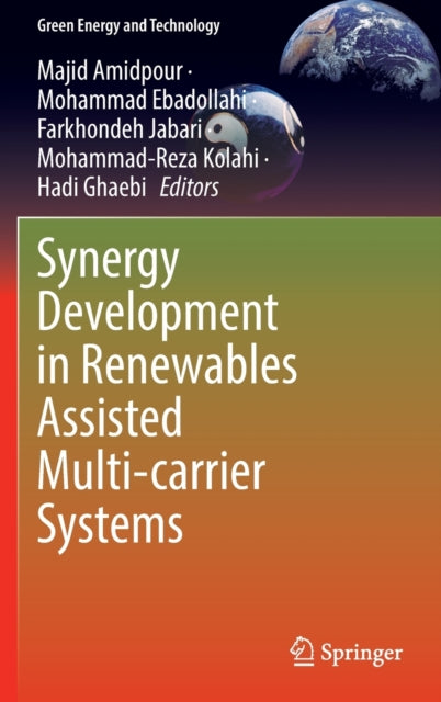 Book cover of: Synergy Development in Renewables Assisted Multi-carrier Systems. By: Majid Amidpour