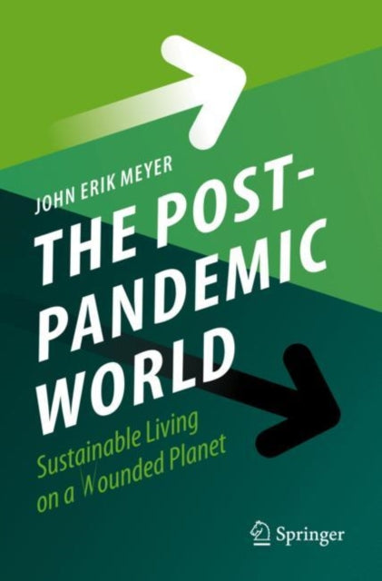 Book cover of: Post-Pandemic World. By: John Erik Meyer