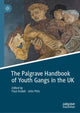 Book cover of: Palgrave Handbook of Youth Gangs in the UK. By: Paul Andell