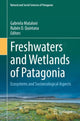 Book cover of: Freshwaters and Wetlands of Patagonia. By: Gabriela Mataloni