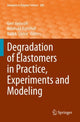 Book cover of: Degradation of Elastomers in Practice, Experiments and Modeling. By: Gert Heinrich