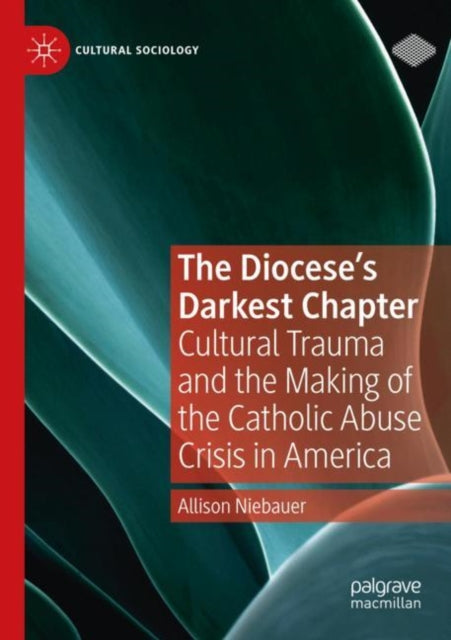 Book cover of: Diocese's Darkest Chapter. By: Allison Niebauer