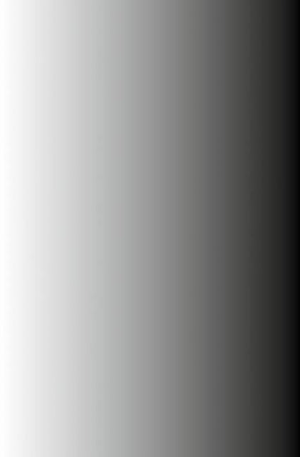 Book cover of: Solitonic Neural Networks. By: Alessandro Bile