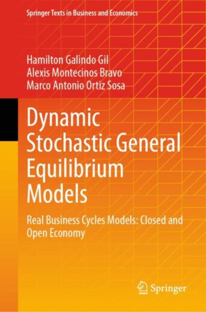 Book cover of: Dynamic Stochastic General Equilibrium Models. By: Hamilton Galindo Gil