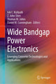 Book cover of: Wide Bandgap Power Electronics. By: Isik Kizilyalli