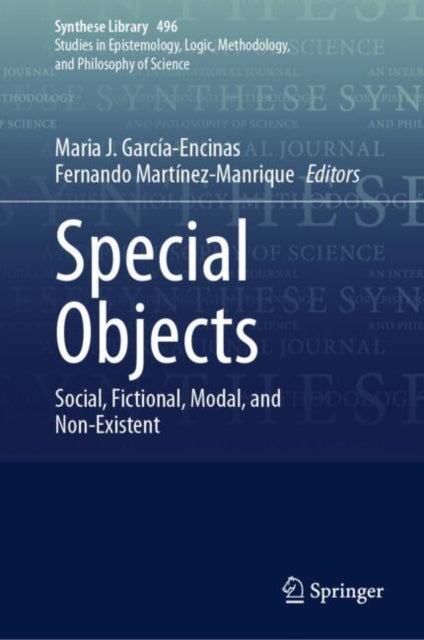 Book cover of: Special Objects. By: Maria J. García-Encinas