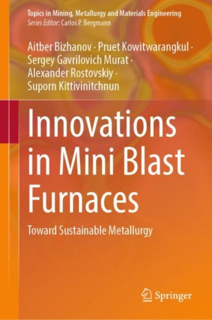 Book cover of: Innovations in Mini Blast Furnaces