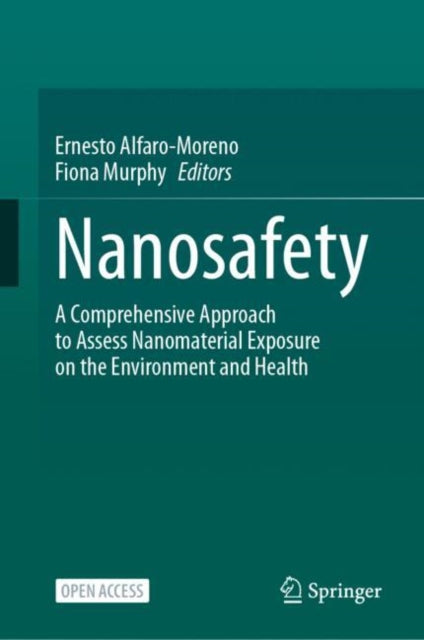Book cover of: Nanosafety