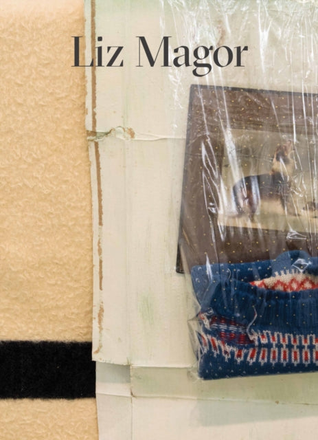 Book cover of: Liz Magor. By: Heike Munder