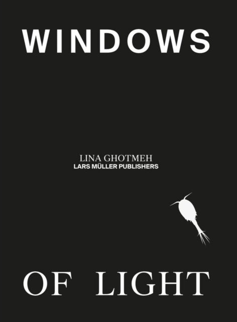 Book cover of: Windows of Light. By: Lina Ghotmeh