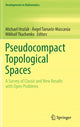 Book cover of: Pseudocompact Topological Spaces. By: Michael Hrušák