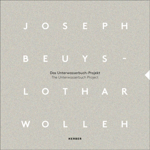 Joseph Beuys and Lothar Wolleh