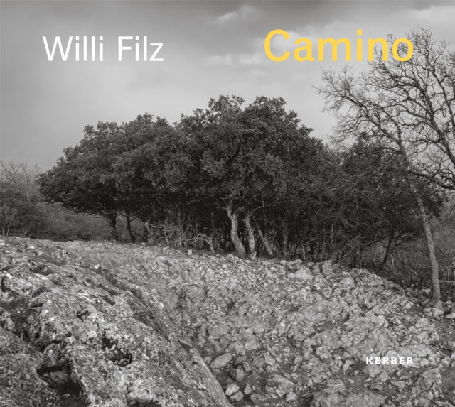 Book cover of: Camino. By: Willi Filz