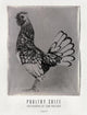 Book cover of: Jean Pagliuso: Poultry Suite. By: Jean Pagliuso