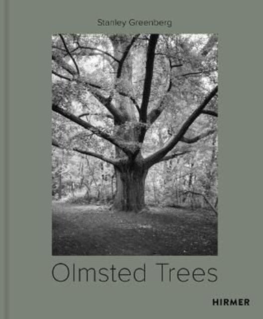Book cover of: Olmsted Trees (Bilingual edition). By: Tom Avermaete