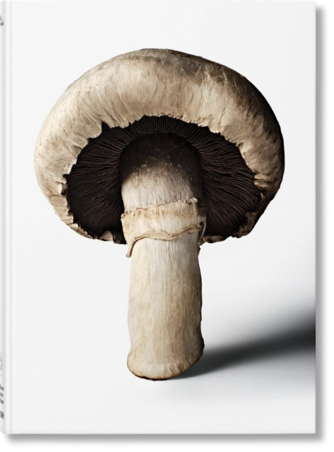 Gourmand's Mushroom