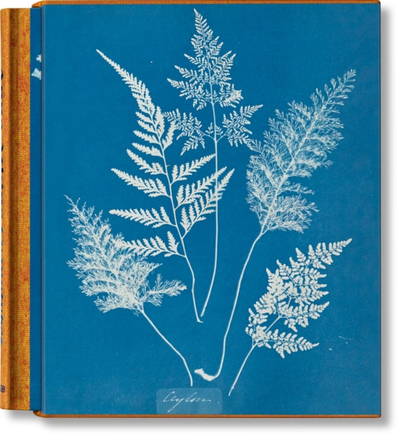 Book cover of: Anna Atkins. Cyanotypes. By: Peter Walther