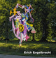 Book cover of: Erich Engelbrecht Introspektive Bilder / Introspective Images. By: Waltraud Engelbrecht