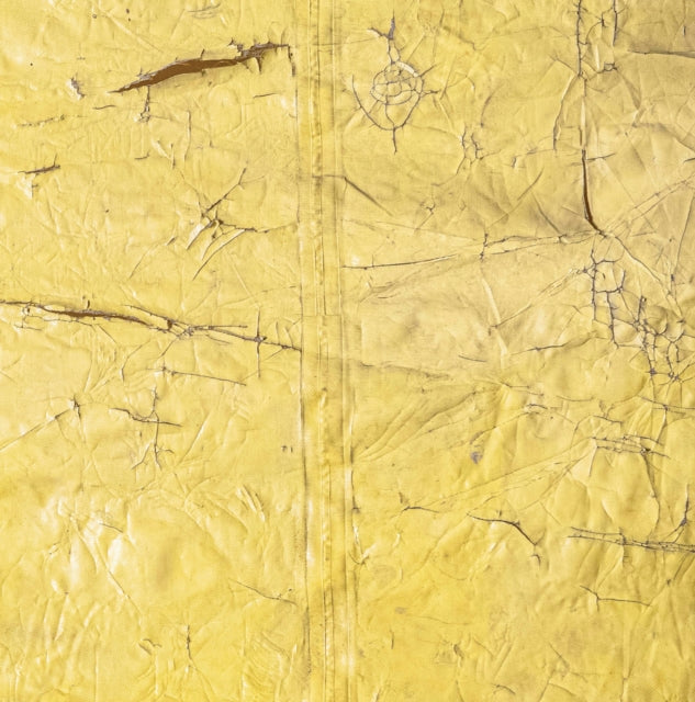 Book cover of: David Hammons. By: David Hammons