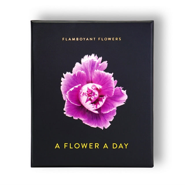 Book cover of: Flamboyant Flowers