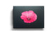 Book cover of: Blooming Book