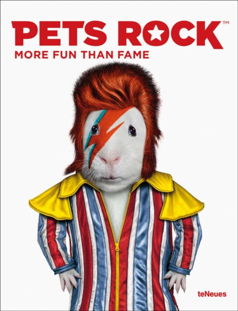Book cover of: Pets Rock. By: Takkoda