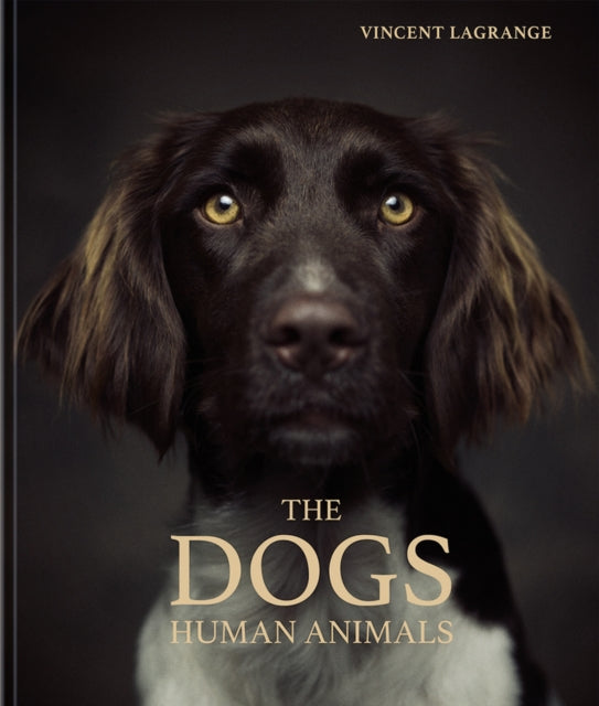 Book cover of: Dogs. By: Vincent Lagrange