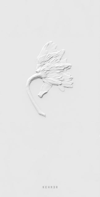 Book cover of: Ephemeral Field Journal