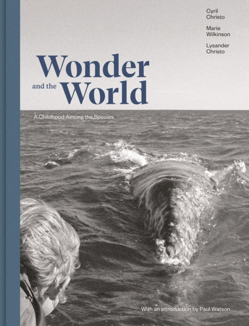 Book cover of: Wonder and the World