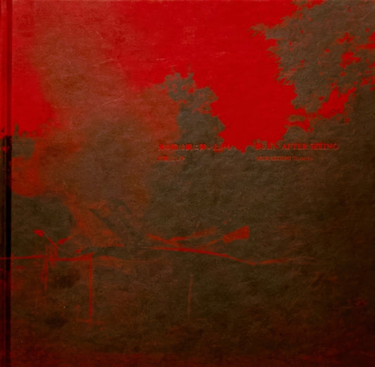 Book cover of: Burn After Seeing
