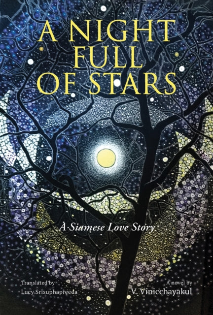 Book cover of: Night Full of Stars