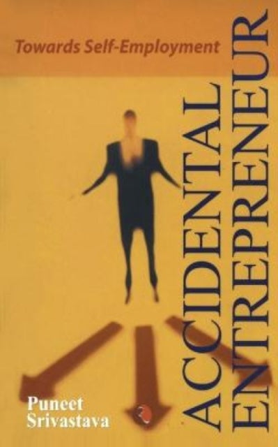 Book cover of: Accidental Entrepreneur