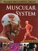 Book cover of: Muscular System