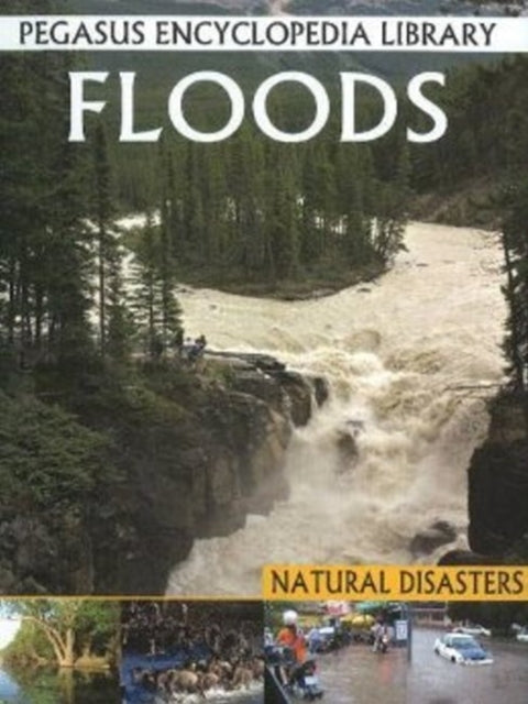 Book cover of: Floods