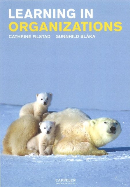 Book cover of: Learning in Organizations