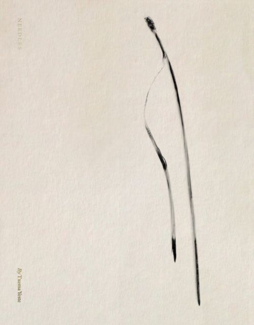 Book cover of: Txema Yeste: Needles
